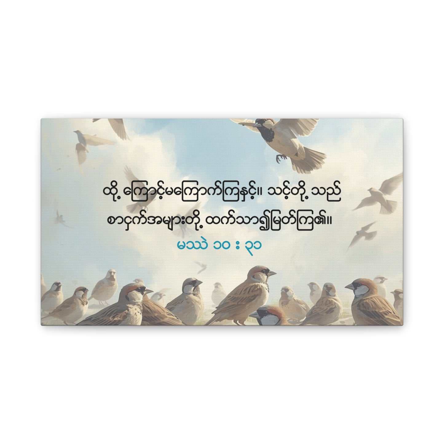 Worth More Than Sparrows ( Matthew 10:31 )