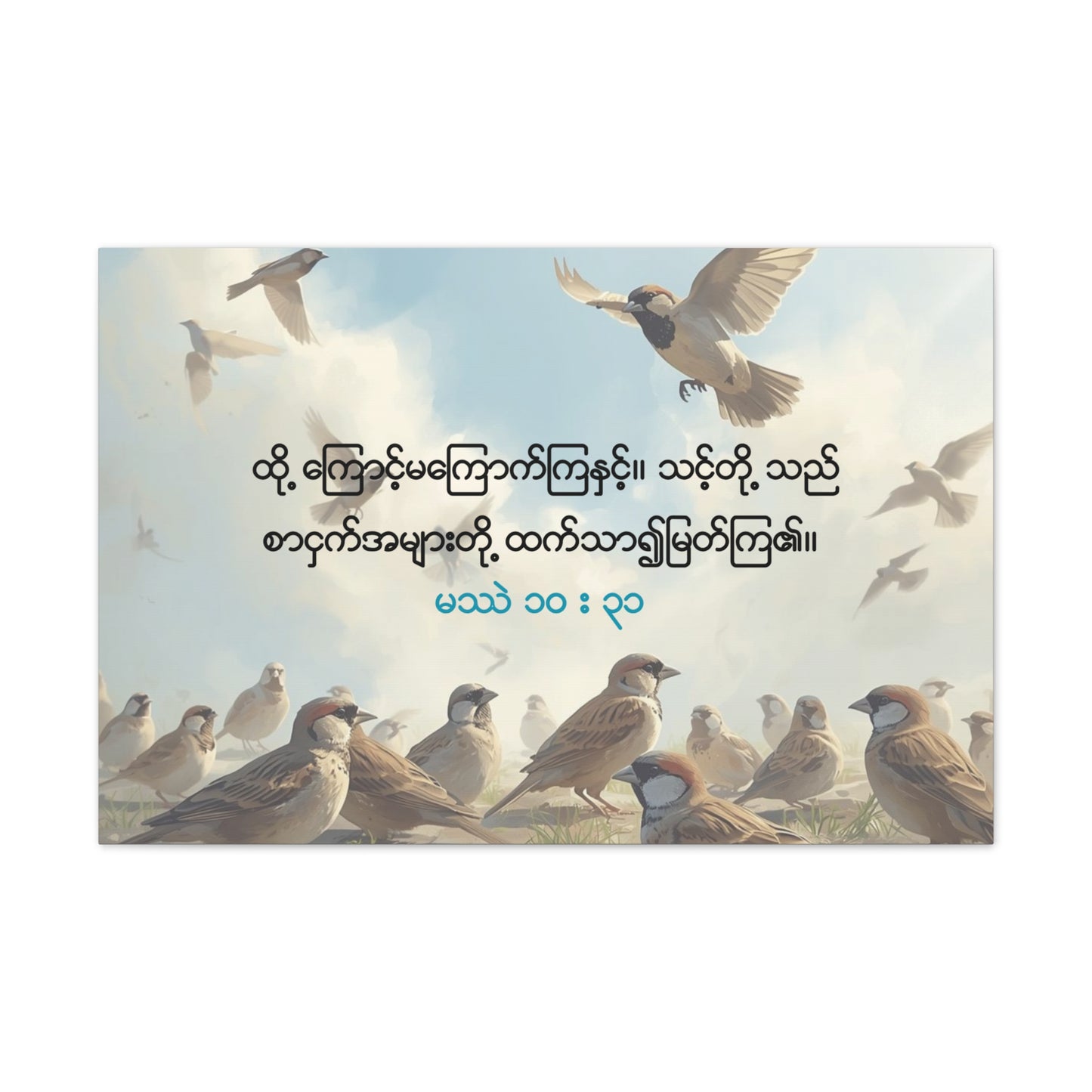 Worth More Than Sparrows ( Matthew 10:31 )