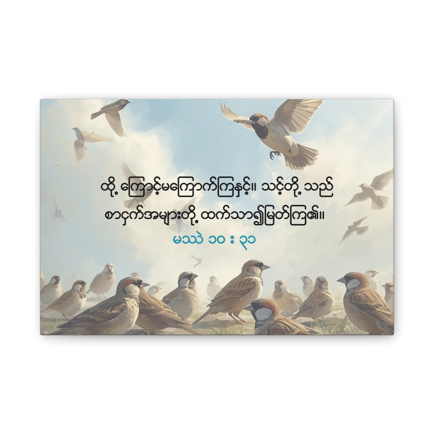Worth More Than Sparrows ( Matthew 10:31 )