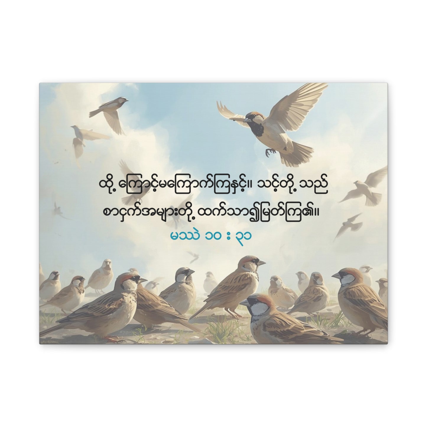 Worth More Than Sparrows ( Matthew 10:31 )
