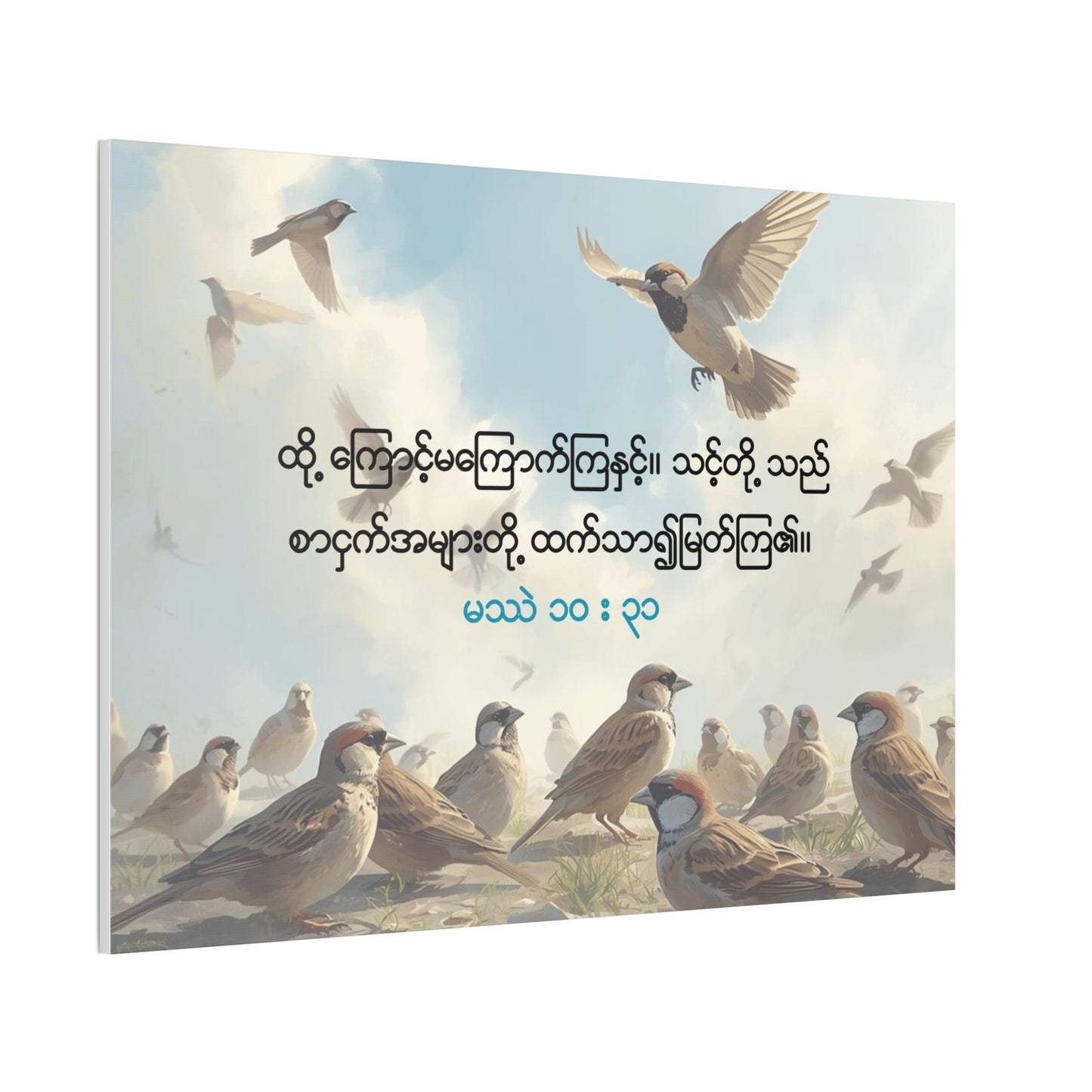 Worth More Than Sparrows ( Matthew 10:31 )